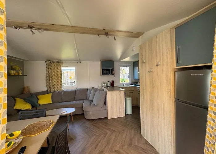 341, 6 A 8 Pers, Wifi, Jardin, Terrasse, Siblu 4 Etoiles Le Des Reves Lattes