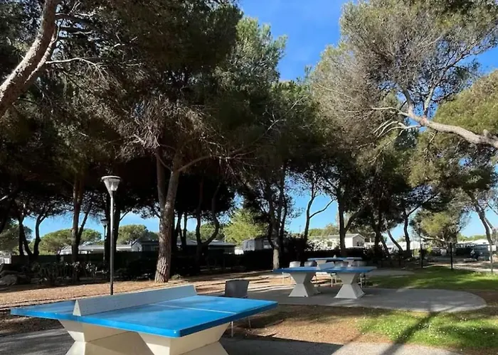 341, 6 A 8 Pers, Wifi, Jardin, Terrasse, Siblu 4 Etoiles Le Des Reves Holiday home *