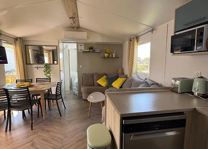 341, 6 A 8 Pers, Wifi, Jardin, Terrasse, Siblu 4 Etoiles Le Des Reves Semesterbostad Lattes